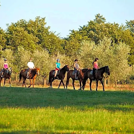 Istra Plava Laguna بوريتش