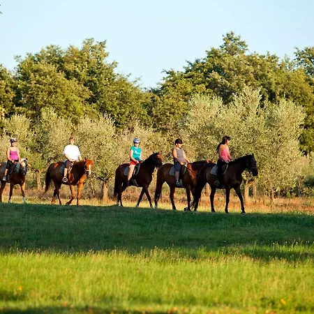 Istra Plava Laguna 3* Porec