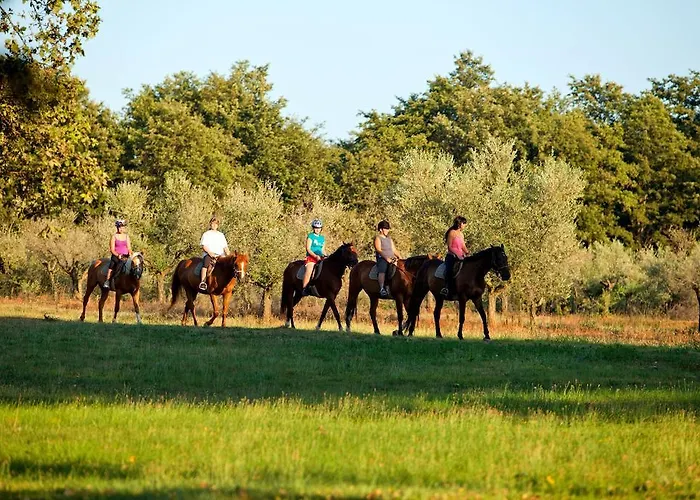 Istra Plava Laguna 3* Пореч